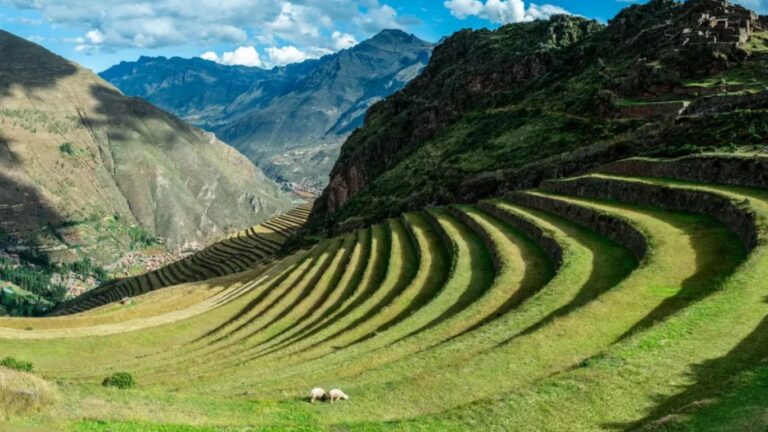 valle 2