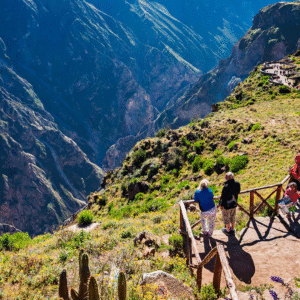 Colca Canyon Tour (3 Days / 2 Nights)