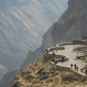 Colca Trek (3 Days & 2 Nights)