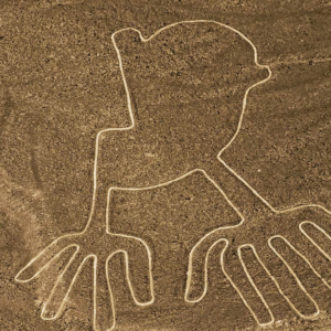 Tour Sobrevuelos en las Líneas de Nazca (medio dia)